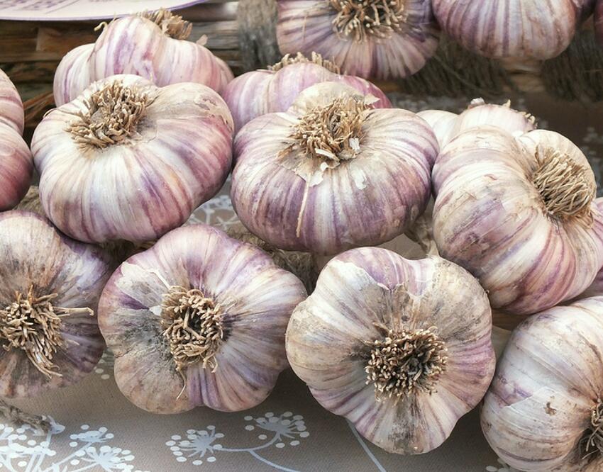 Диетолог из Израиля посоветовал пять специй для снижения артериального ...