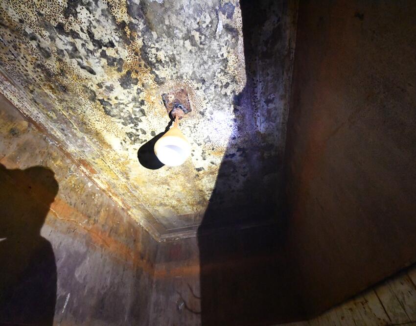 Это есть у каждой хозяйки: названо средство, которым легко навсегда ...