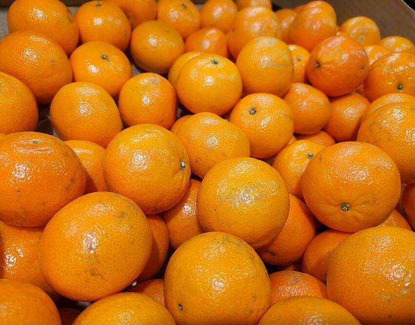 Сколько мандаринов можно съесть на Новый год