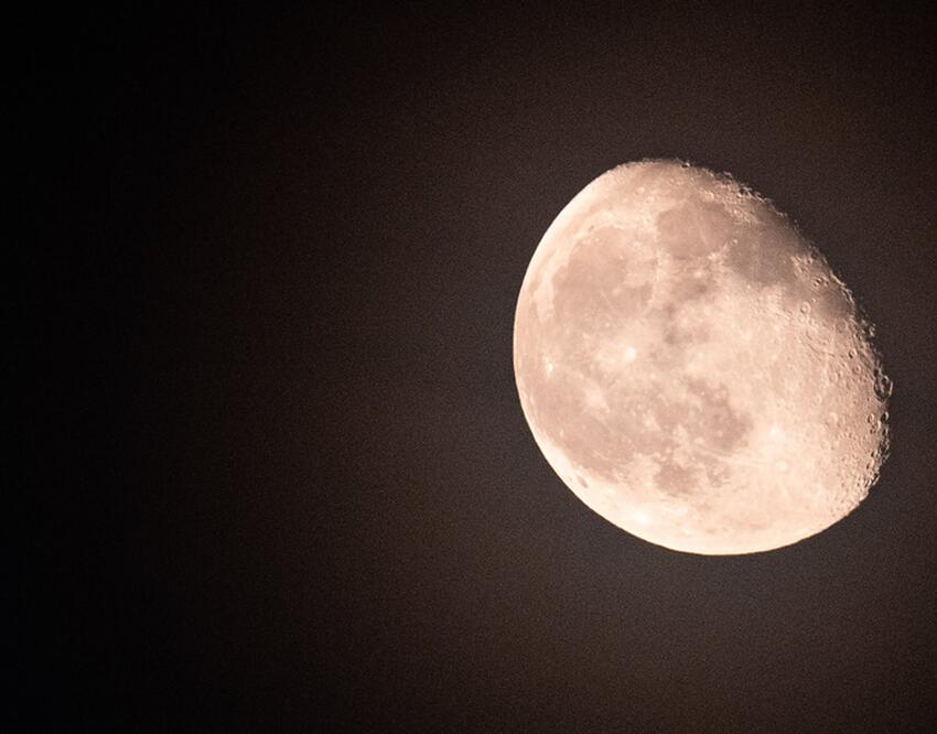 Берегитесь: Тамара Глоба назвала знак зодиака, который может ...