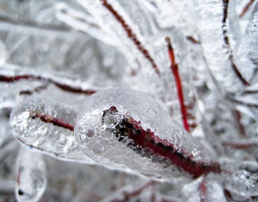 В Москву придет мокрый снег с дождем