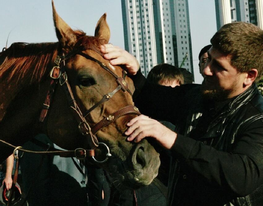 «Кто-то хорошо нагреет руки»: Кадыров назвал настоящую стоимость ...