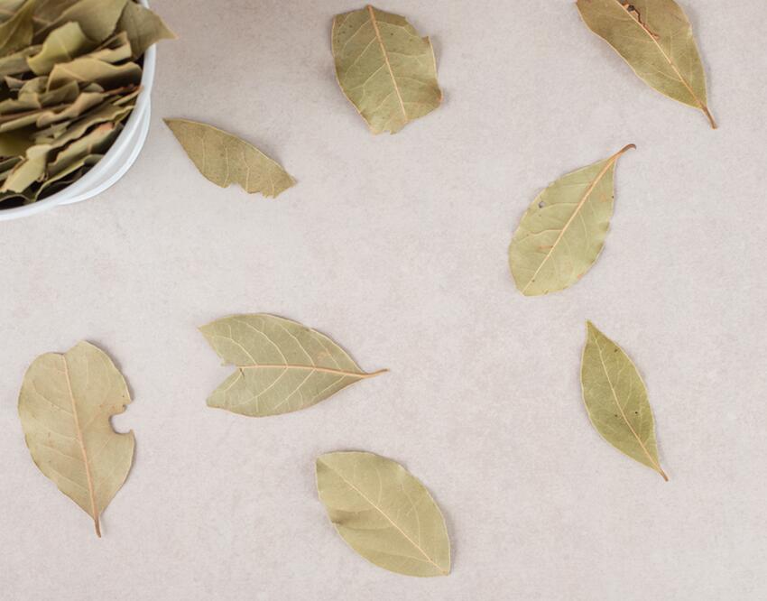 Листья лавра благородного. Листья лавра благородного. Лавровый лист orient 5 г. Лавровый лист при панариции. 2 лавровых листа под подушкой.