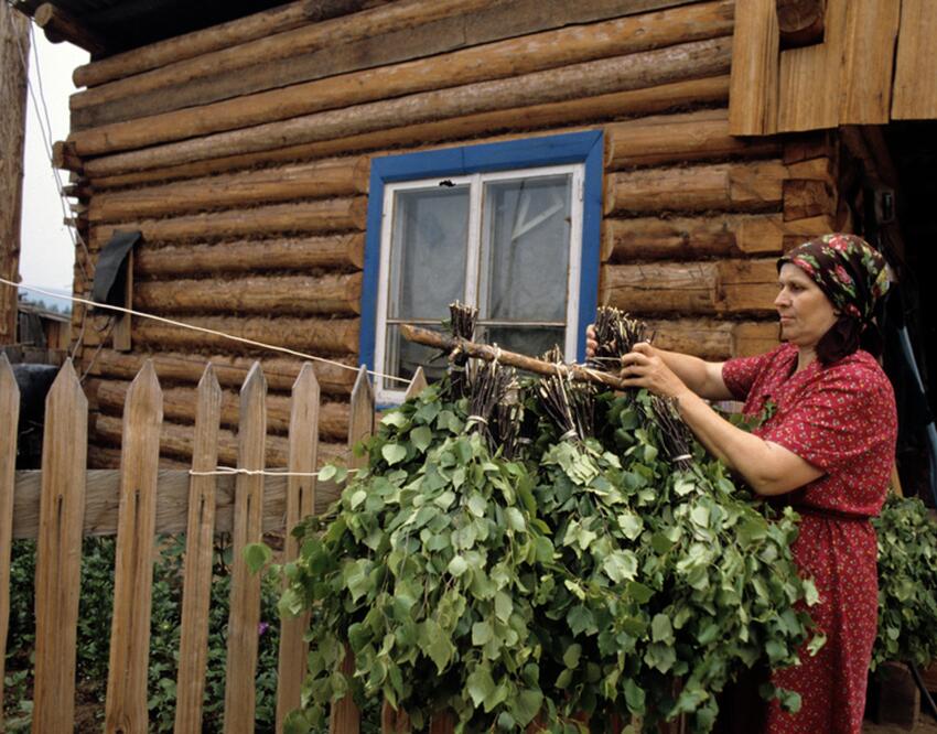 Как правильно приготовить березовый веник для бани, чтобы не пострадать