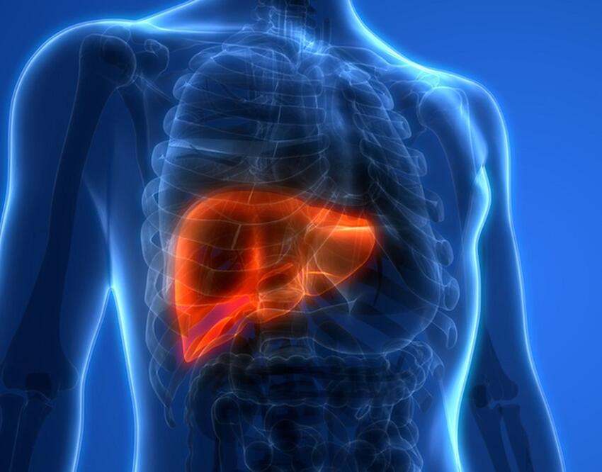 Understanding Liver Health: Identifying Early Signs of Problems at Home