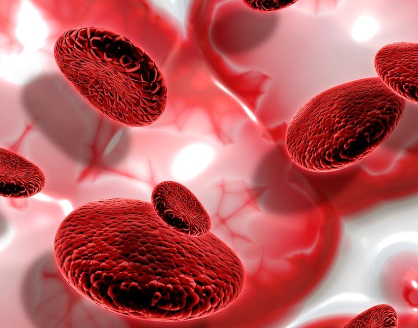 Лучше пока не придумали: названы самые эффективные лекарства против ...