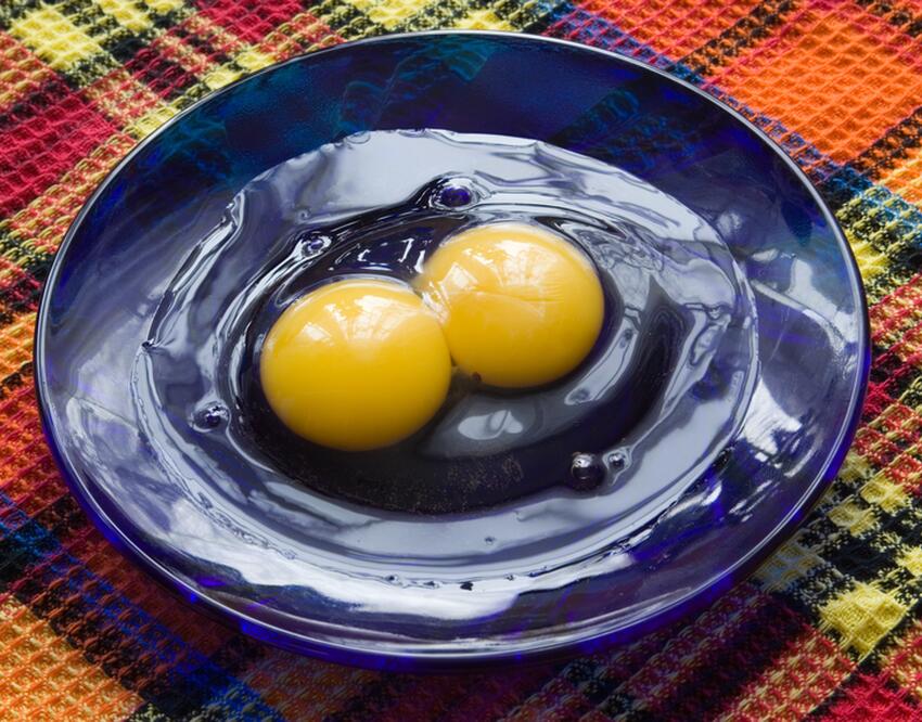 Что делать, если нашли яйцо с двумя желтками: хорошие приметы, радуйтесь