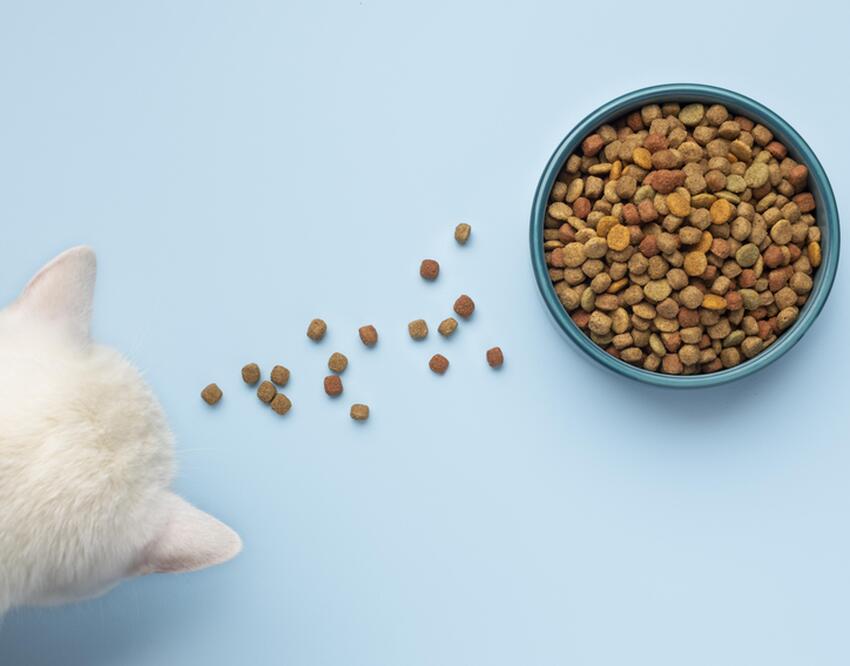 Эта аминокислота приносит большую пользу сердечникам: она содержится ...