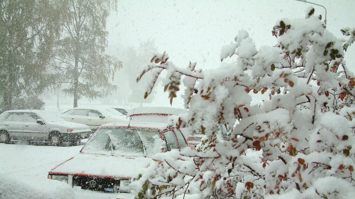 снег в ставрополе 2023 год. когда лег снег в 2023. фото трассы курган тока выпал снег. выпал снег. новомосковск город зимой.