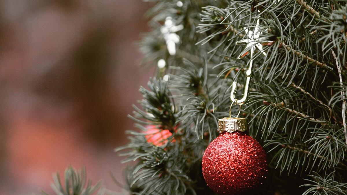 Как украсить дом к Нового Году: сосна новогодняя, пихта или елка?