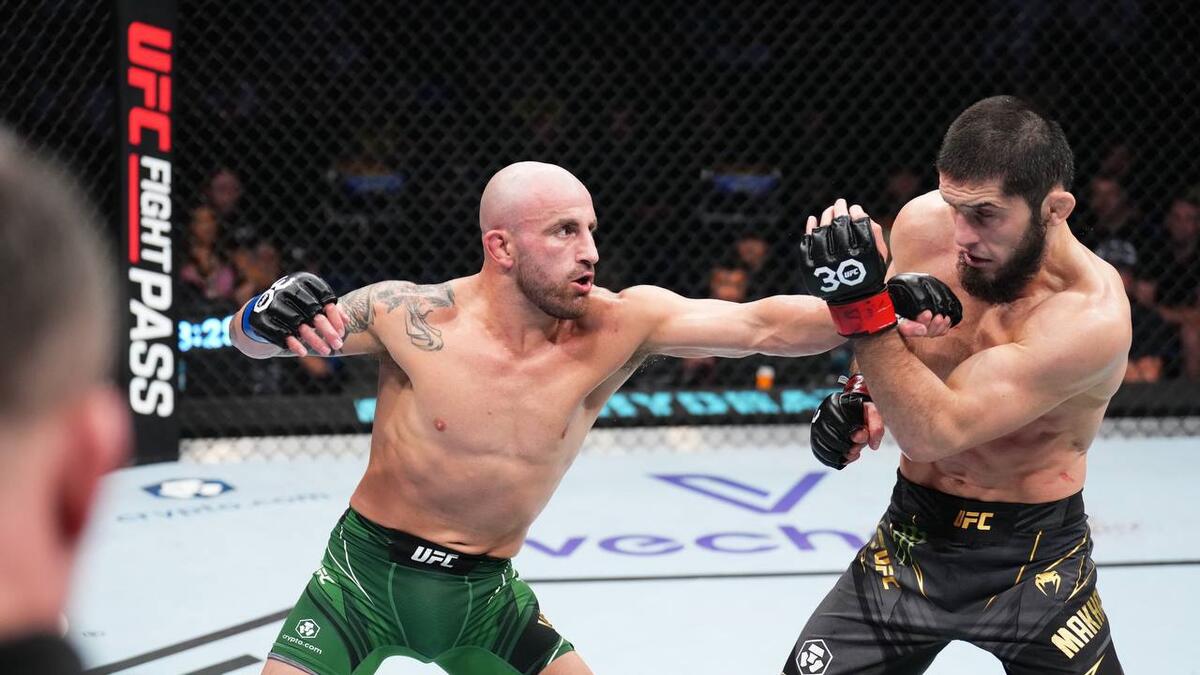 Джош тейлор боксер. Диллиан уайт поветкин. 02 2024. 02 2024. 02 2024.