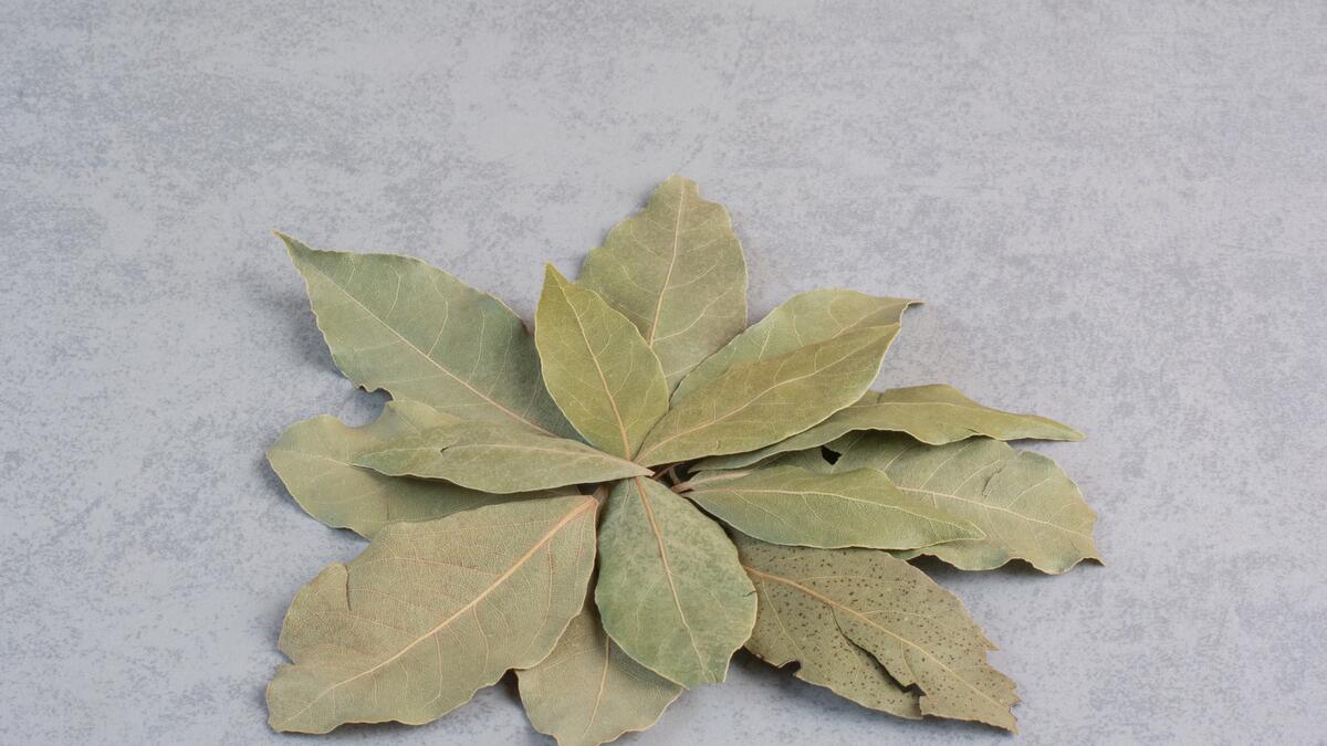 Лавровый лист на доске. Лавровый лист над входной дверью. Лавровый лист. Лавровый лист над входной дверью. Лавровый лист букет.