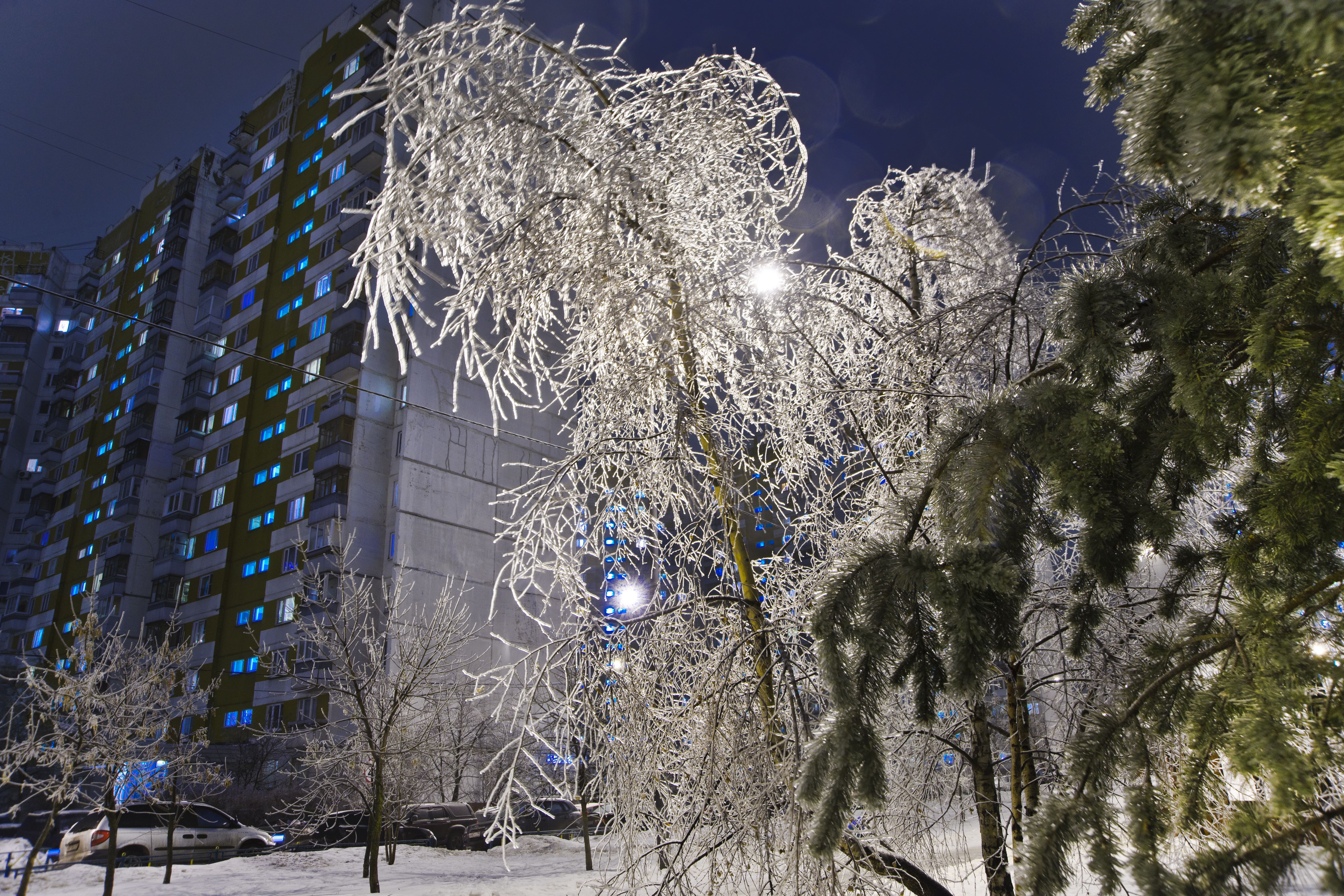 Зимняя Москва 2010