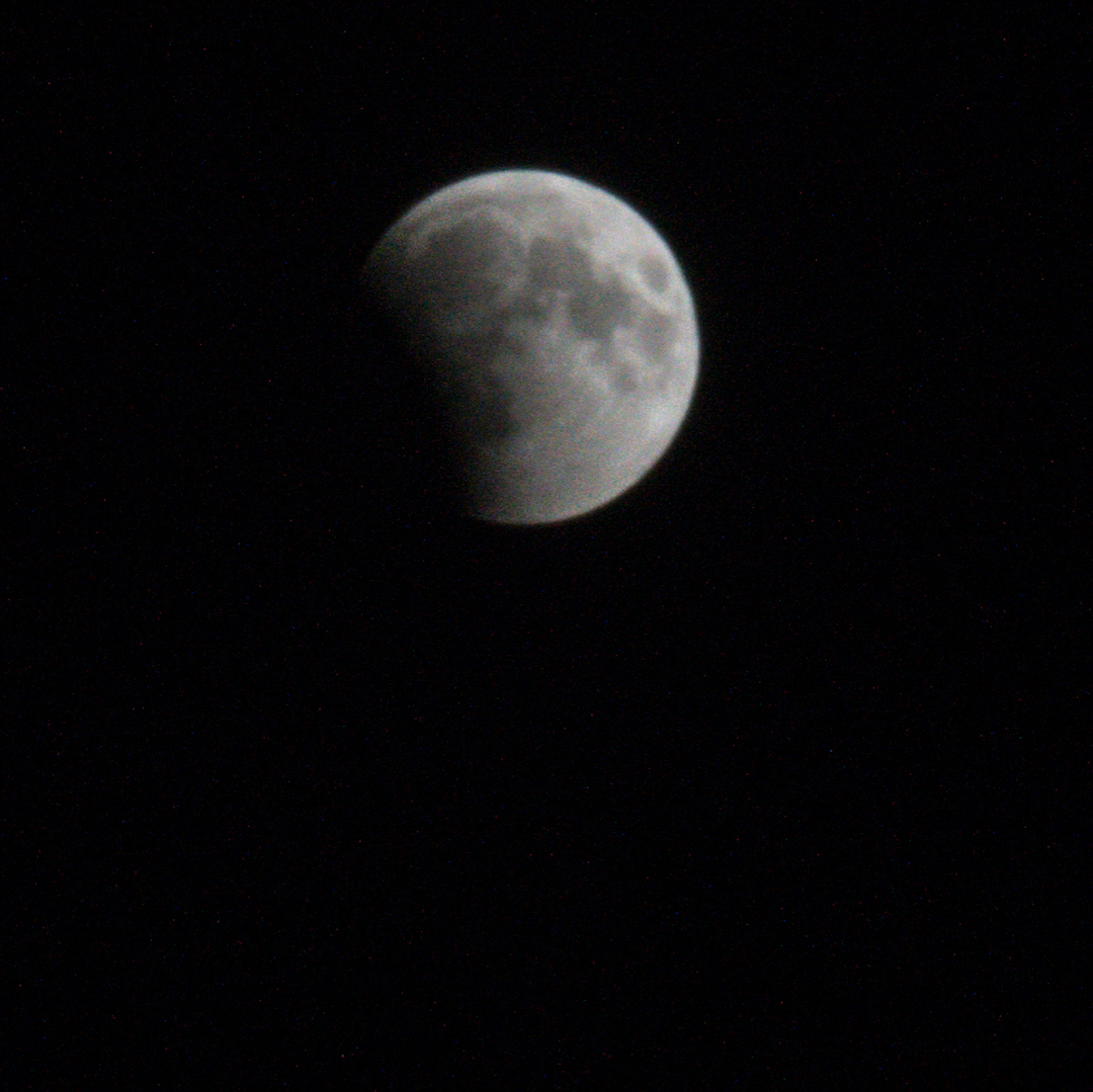Луна 2009 год