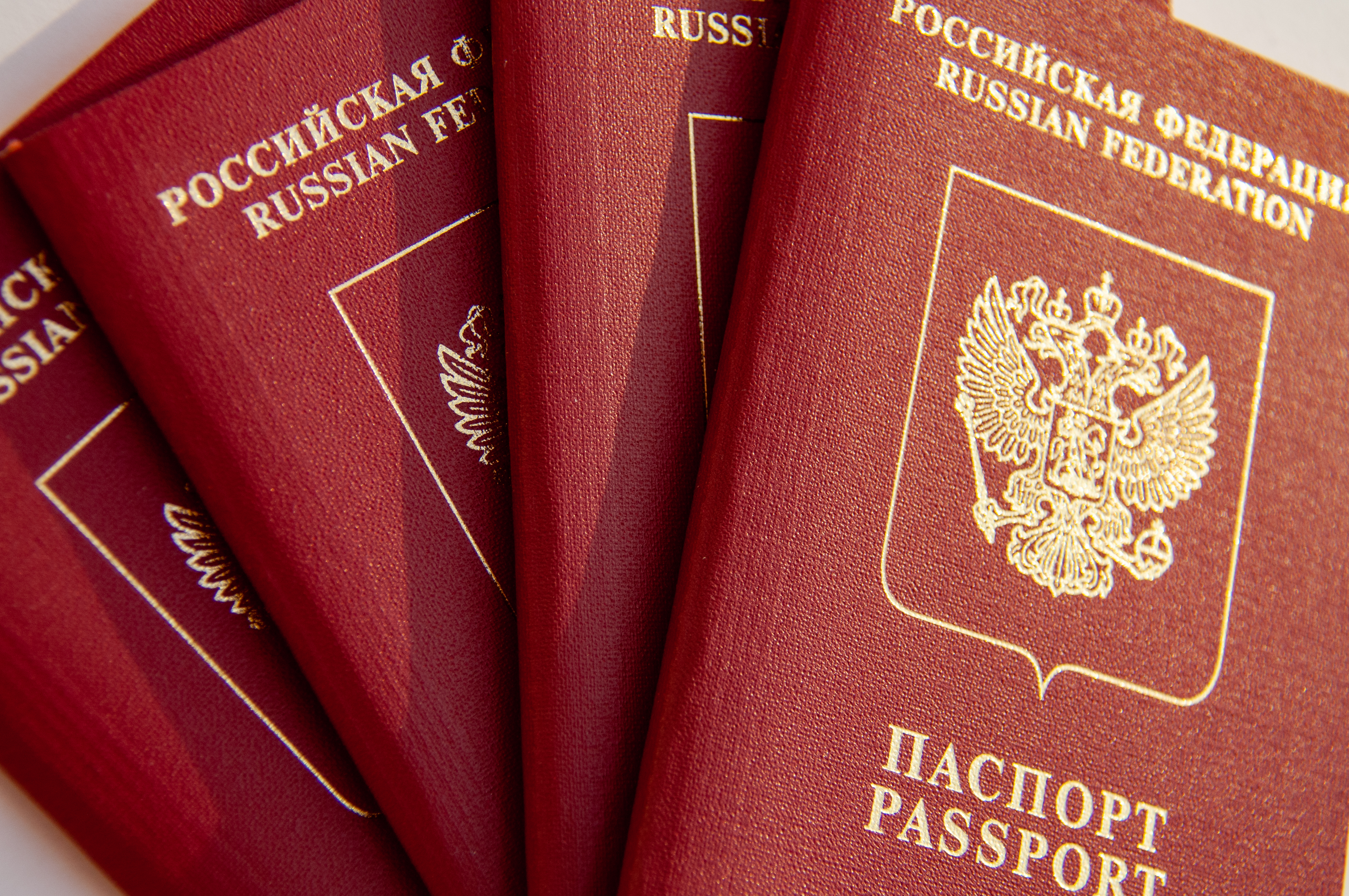 Придется заплатить: стала известна дата принятия закона о компенсациях за смену гражданства в России